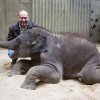 фото: Václav Šilha, Пражский зоопарк