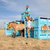 Spolu s výstavou historických fotografií proběhne ve 14.30 vernisáž výstavy Návrat divokých koní – Kazachstán, která představí historicky první transport koní Převalského do Zlaté stepi ve středním Kazachstánu. Foto Václav Šilha, Zoo Praha