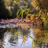 Foto Petr Hamerník, Zoo Praha