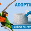 Adoptujte mě - lori balijský