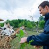 Český basketbalista Jiří Zídek byl mezi prvními, kdo si nakrmili v pražské zoo žirafy z ruky. Foto: Petr Hamerník, Zoo Praha