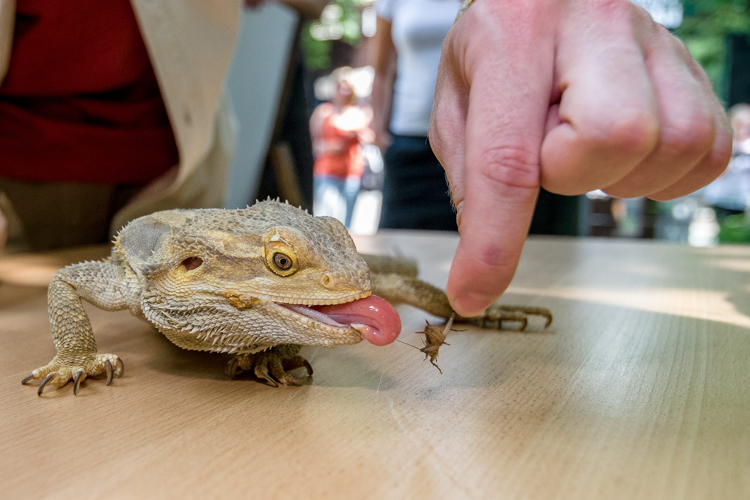 Foto: Petr Hamerník, Zoo Praha