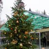 Ozdobené vánoční stromečky mohou návštěvníci pražské zoo vidět na více místech v areálu. Foto: Petr Hamerník, Zoo Praha