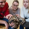 Program se zvířetem, foto: Tereza Mrhálková, Zoo Praha