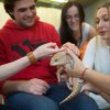 Program se zvířetem, foto: Tereza Mrhálková, Zoo Praha