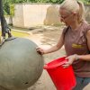 Chovatelem na jeden den, foto: Tereza Mrhálková, Zoo Praha