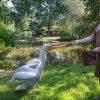 Chovatelem na jeden den, foto: Tereza Mrhálková, Zoo Praha