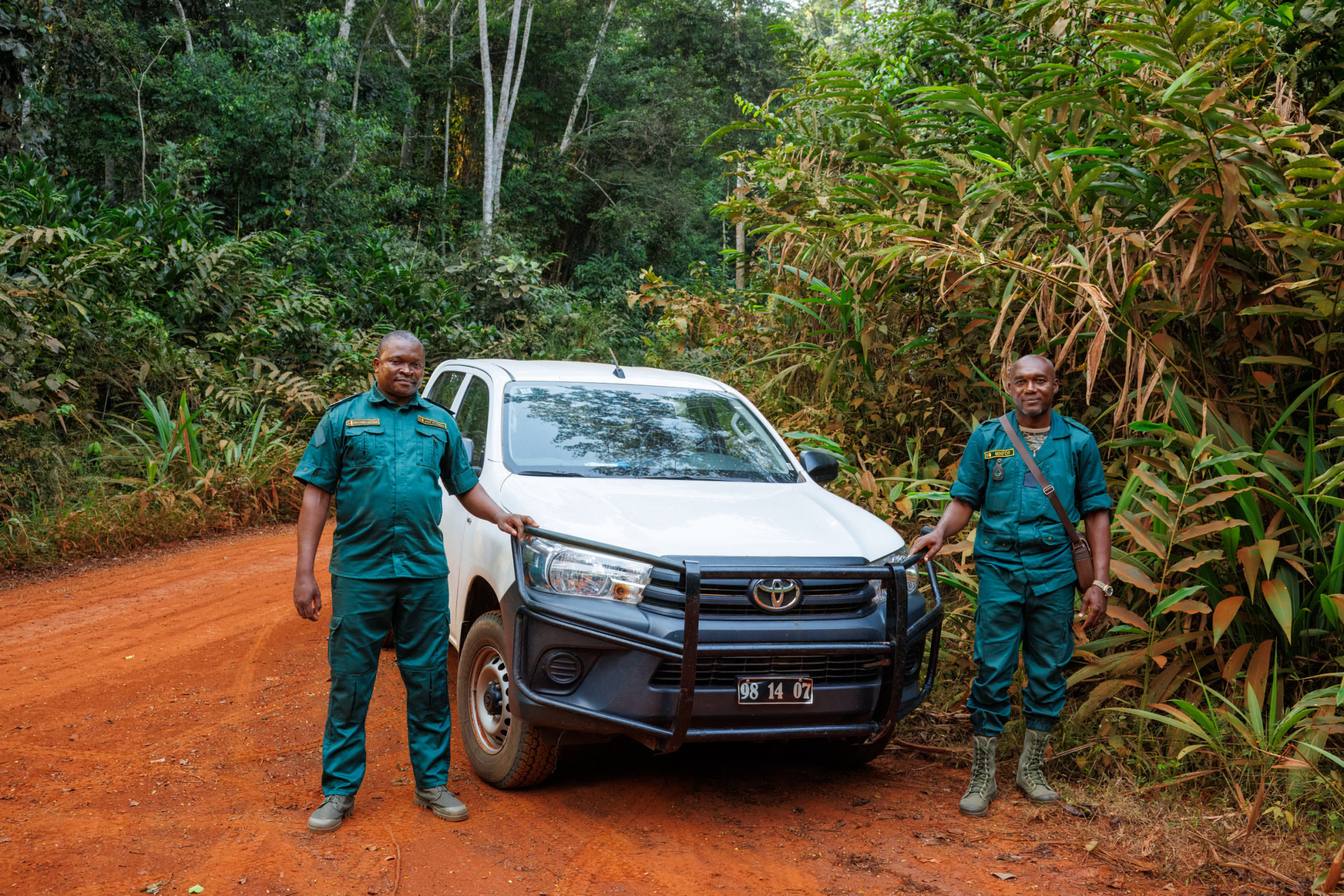 On an anti-poaching patrol by the border of the Dja Biosphere Reserve in Cameroon. Pictured here is Director Bertrand Endezoumou, on the right, and Dirol Yemdji Lontchi, commander of the northern group of wildlife rangers, on the left. Their now indispensable Toyota Hilux was purchased thanks to the “8 CZK from the Entrance Fee to Prague Zoo” initiative, which donates eight crowns from every ticket to Prague Zoo to support biodiversity conservation projects. The cars that Prague Zoo provides abroad are usually marked with the Prague Zoo logo and the City of Prague logo too; however, this one is an exception. It must not attract attention and be readily identifiable so that poachers have advance warning. At the same time, it is not good or strategic for local communities to associate anti-poaching efforts with foreigners. Photo Miroslav Bobek, Prague Zoo